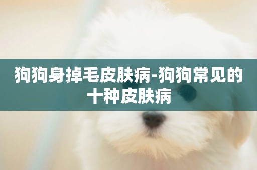 狗狗身掉毛皮膚病-狗狗常見的十種皮膚病