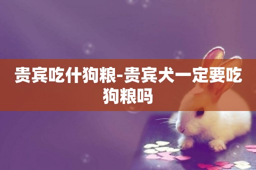 貴賓吃什狗糧-貴賓犬一定要吃狗糧嗎