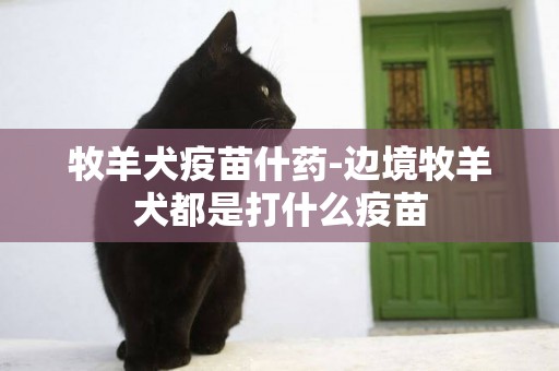 牧羊犬疫苗什藥-邊境牧羊犬都是打什么疫苗