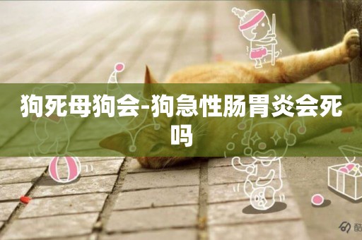 狗死母狗會-狗急性腸胃炎會死嗎