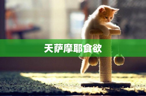 天薩摩耶食欲