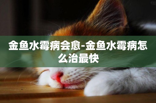 金魚水霉病會愈-金魚水霉病怎么治最快