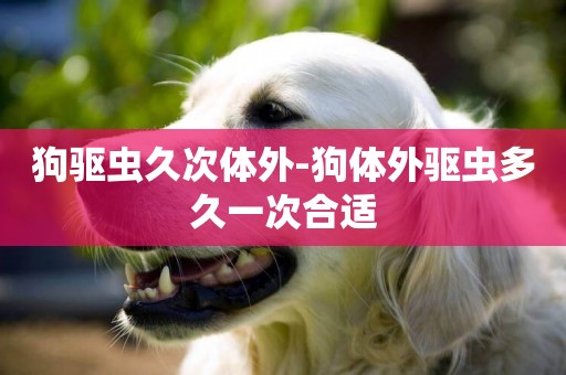狗驅蟲久次體外-狗體外驅蟲多久一次合適