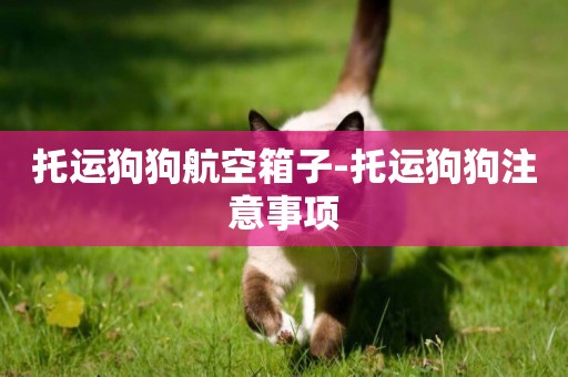 托運狗狗航空箱子-托運狗狗注意事項