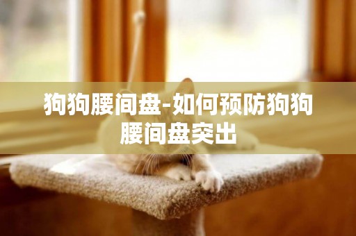 狗狗腰間盤-如何預防狗狗腰間盤突出