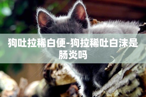 狗吐拉稀白便-狗拉稀吐白沫是腸炎嗎