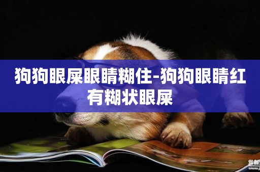 狗狗眼屎眼睛糊住-狗狗眼睛紅有糊狀眼屎