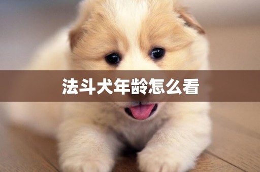法斗犬年齡怎么看