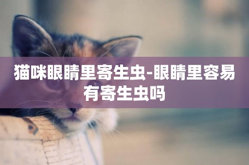 貓咪眼睛里寄生蟲-眼睛里容易有寄生蟲嗎