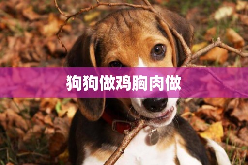 狗狗做雞胸肉做