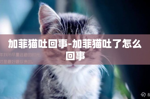 加菲貓吐回事-加菲貓吐了怎么回事