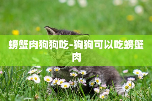 螃蟹肉狗狗吃-狗狗可以吃螃蟹肉