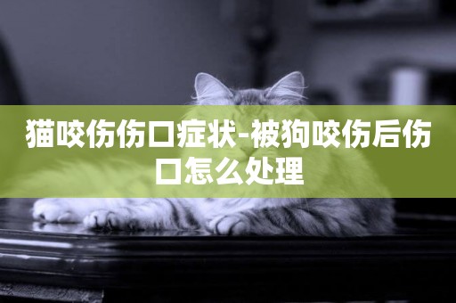 貓咬傷傷口癥狀-被狗咬傷后傷口怎么處理