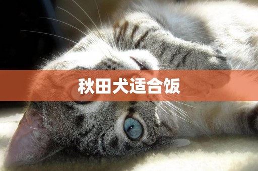 秋田犬適合飯