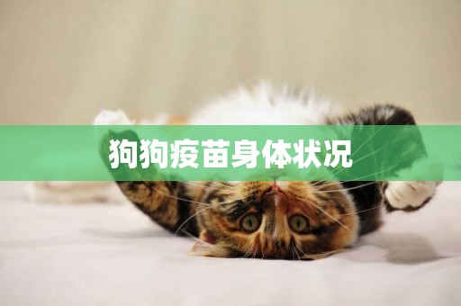 狗狗疫苗身體狀況