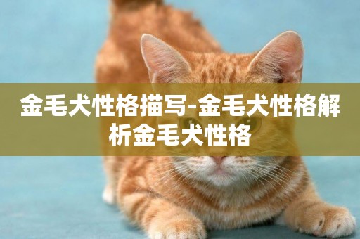 金毛犬性格描寫-金毛犬性格解析金毛犬性格