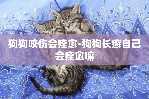 狗狗咬傷會痊愈-狗狗長癬自己會痊愈嘛