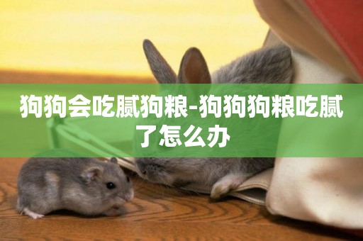 狗狗會吃膩狗糧-狗狗狗糧吃膩了怎么辦