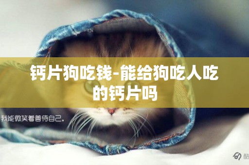 鈣片狗吃錢-能給狗吃人吃的鈣片嗎