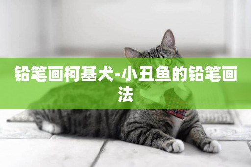 鉛筆畫柯基犬-小丑魚的鉛筆畫法