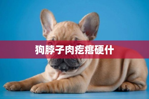 狗脖子肉疙瘩硬什