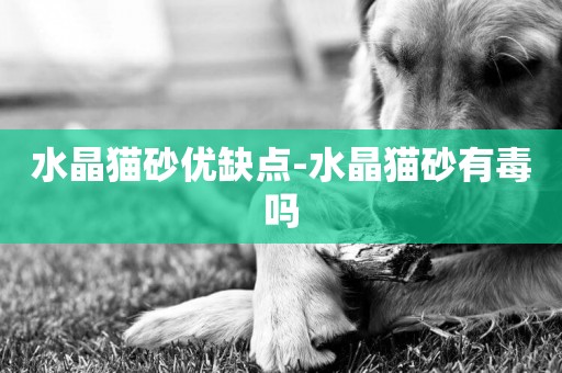 水晶貓砂優缺點-水晶貓砂有毒嗎