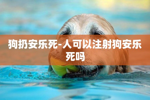 狗扔安樂死-人可以注射狗安樂死嗎