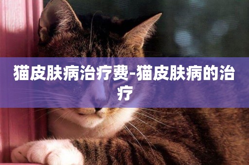 貓皮膚病治療費-貓皮膚病的治療