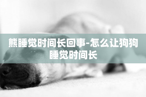 熊睡覺時間長回事-怎么讓狗狗睡覺時間長