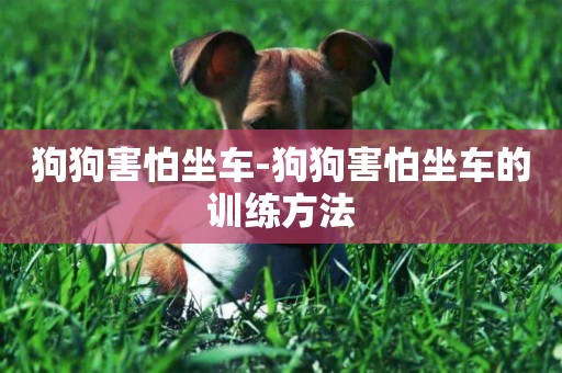 狗狗害怕坐車-狗狗害怕坐車的訓練方法
