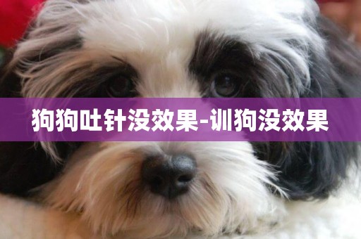 狗狗吐針沒效果-訓狗沒效果
