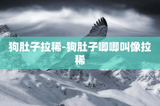 狗肚子拉稀-狗肚子唧唧叫像拉稀