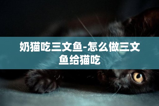 奶貓吃三文魚-怎么做三文魚給貓吃