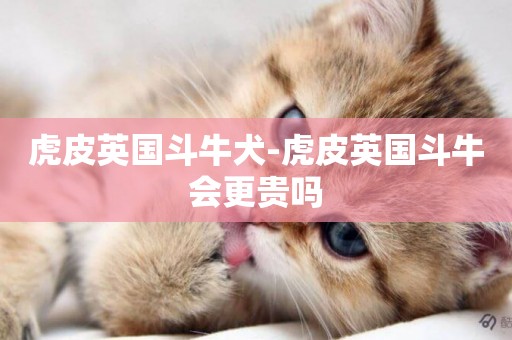 虎皮英國斗牛犬-虎皮英國斗牛會更貴嗎