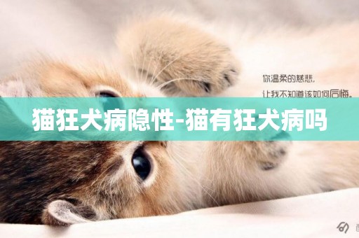 貓狂犬病隱性-貓有狂犬病嗎