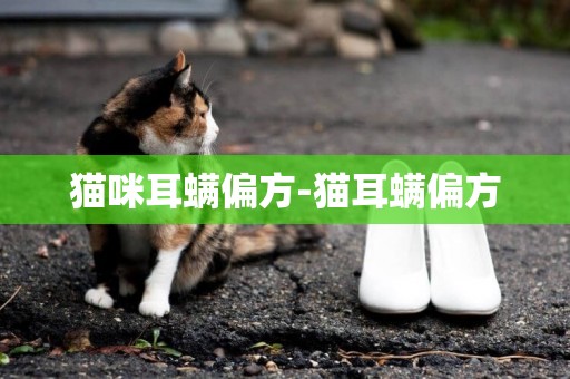 貓咪耳螨偏方-貓耳螨偏方