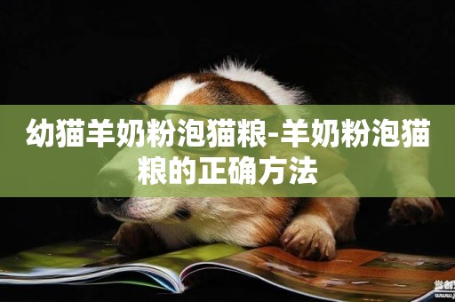 幼貓羊奶粉泡貓糧-羊奶粉泡貓糧的正確方法