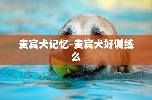 貴賓犬記憶-貴賓犬好訓練么
