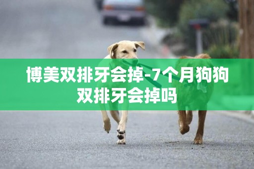 博美雙排牙會掉-7個月狗狗雙排牙會掉嗎