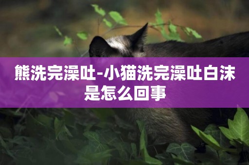 熊洗完澡吐-小貓洗完澡吐白沫是怎么回事