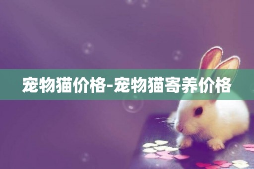 寵物貓價格-寵物貓寄養價格