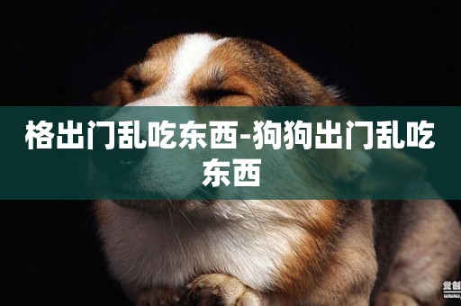 格出門亂吃東西-狗狗出門亂吃東西