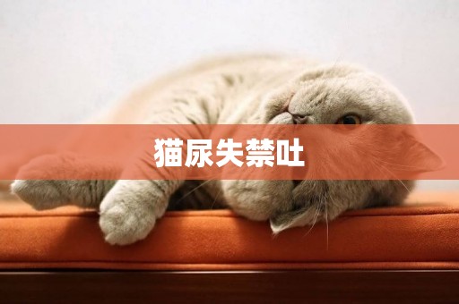 貓尿失禁吐