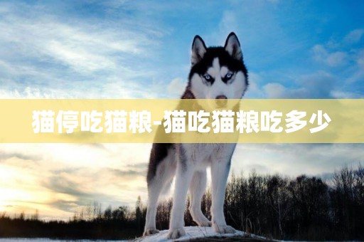 貓停吃貓糧-貓吃貓糧吃多少