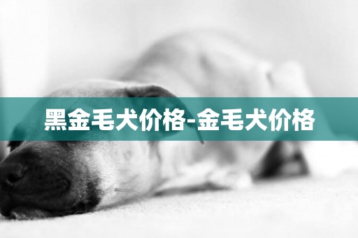 黑金毛犬價格-金毛犬價格