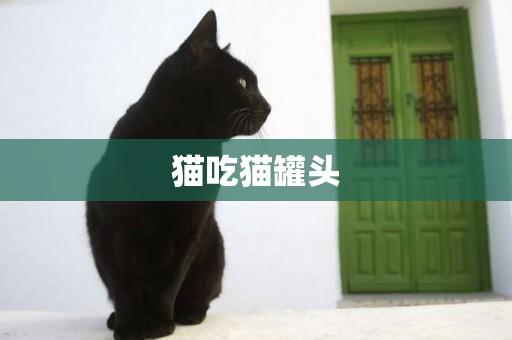 貓吃貓罐頭
