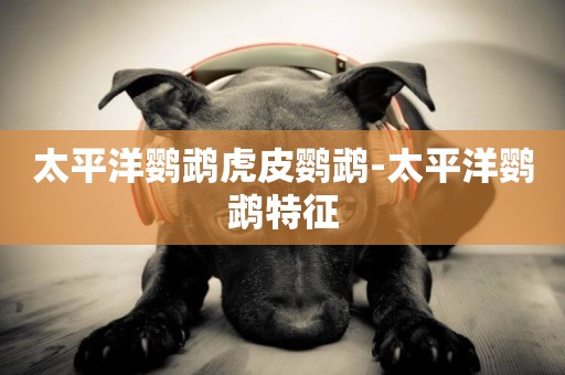 太平洋鸚鵡虎皮鸚鵡-太平洋鸚鵡特征