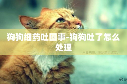 狗狗細藥吐回事-狗狗吐了怎么處理