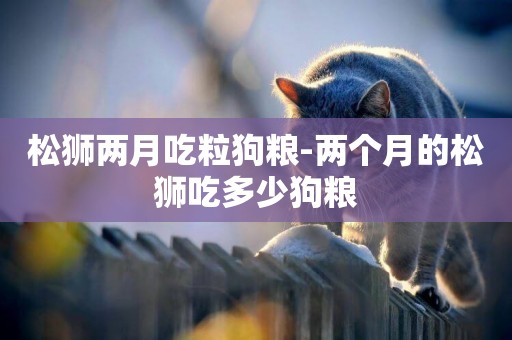 松獅兩月吃粒狗糧-兩個月的松獅吃多少狗糧
