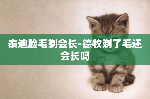 泰迪臉毛剃會長-德牧剃了毛還會長嗎